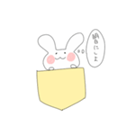 ポケットうさぎぽけ丸（個別スタンプ：13）