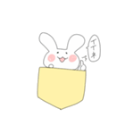 ポケットうさぎぽけ丸（個別スタンプ：17）