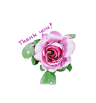Mature stamps2（個別スタンプ：1）