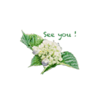 Mature stamps2（個別スタンプ：2）