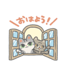 ねこまみれ！コテツとコトラ（日常編）（個別スタンプ：1）