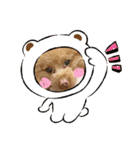 ヨーキーとトイプーPart2（個別スタンプ：7）