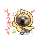 ヨーキーとトイプーPart2（個別スタンプ：10）