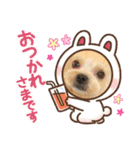 ヨーキーとトイプーPart2（個別スタンプ：14）