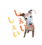 ドビーは悪い子（個別スタンプ：3）