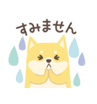 北欧柴犬の日常3 mush（個別スタンプ：37）