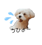 ren's original stamp（個別スタンプ：1）