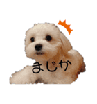 ren's original stamp（個別スタンプ：2）