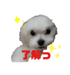ren's original stamp（個別スタンプ：4）