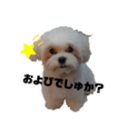 ren's original stamp（個別スタンプ：5）