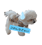 ren's original stamp（個別スタンプ：6）