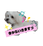 ren's original stamp（個別スタンプ：7）