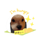 ren's original stamp（個別スタンプ：8）