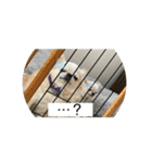 ちょこちっぷっ（個別スタンプ：4）