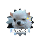 ちょこちっぷっ（個別スタンプ：6）