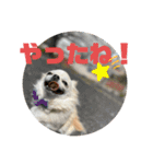 ちょこちっぷっ（個別スタンプ：14）