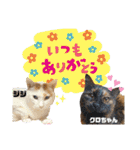 アニマルスマイル香川         2021 Spring（個別スタンプ：14）