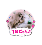 coretto（個別スタンプ：7）
