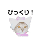 He name is Vanilla2（個別スタンプ：1）