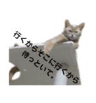 He name is Vanilla2（個別スタンプ：4）