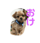 ロッキー君のデカ文字（個別スタンプ：8）