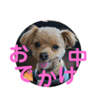ロッキー君のデカ文字（個別スタンプ：14）