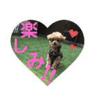 ロッキー君のデカ文字（個別スタンプ：15）