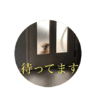 ロッキー君のデカ文字（個別スタンプ：16）