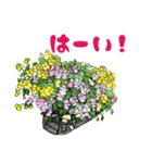 Flower sticker 3（個別スタンプ：1）