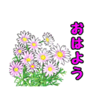 Flower sticker 3（個別スタンプ：2）