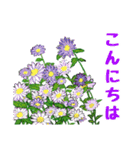 Flower sticker 3（個別スタンプ：4）