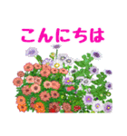 Flower sticker 3（個別スタンプ：5）