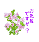 Flower sticker 3（個別スタンプ：6）