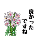 Flower sticker 3（個別スタンプ：13）