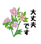 Flower sticker 3（個別スタンプ：27）