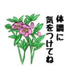 Flower sticker 3（個別スタンプ：28）