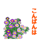 Flower sticker 3（個別スタンプ：38）