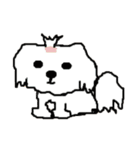 マルチーズ他（個別スタンプ：3）