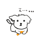 マルチーズ他（個別スタンプ：6）