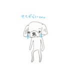 マルチーズ他（個別スタンプ：7）