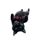 ジジくんの日常♡（個別スタンプ：4）