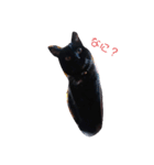 ジジくんの日常♡（個別スタンプ：7）