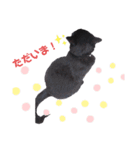 ジジくんの日常♡（個別スタンプ：15）
