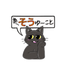 黒猫こはくの吹き出しスタンプ（個別スタンプ：10）