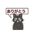 黒猫こはくの吹き出しスタンプ（個別スタンプ：12）