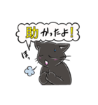 黒猫こはくの吹き出しスタンプ（個別スタンプ：22）