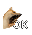 ガウガウ犬りんご君（個別スタンプ：11）
