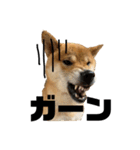 ガウガウ犬りんご君（個別スタンプ：14）
