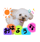 渡邉家のろくたん②（個別スタンプ：1）