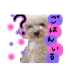 渡邉家のろくたん②（個別スタンプ：5）